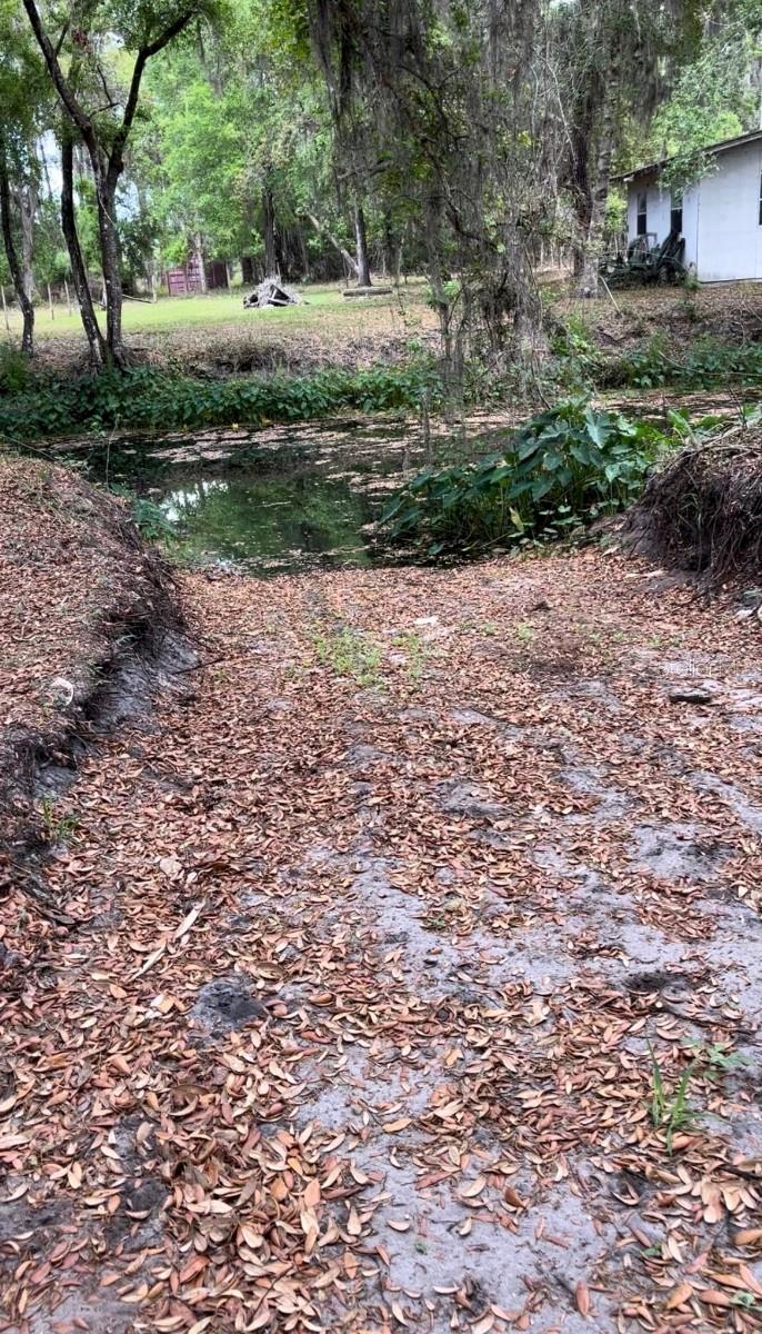18625 NE 238TH TER, FORT MC COY, FL — photo 8