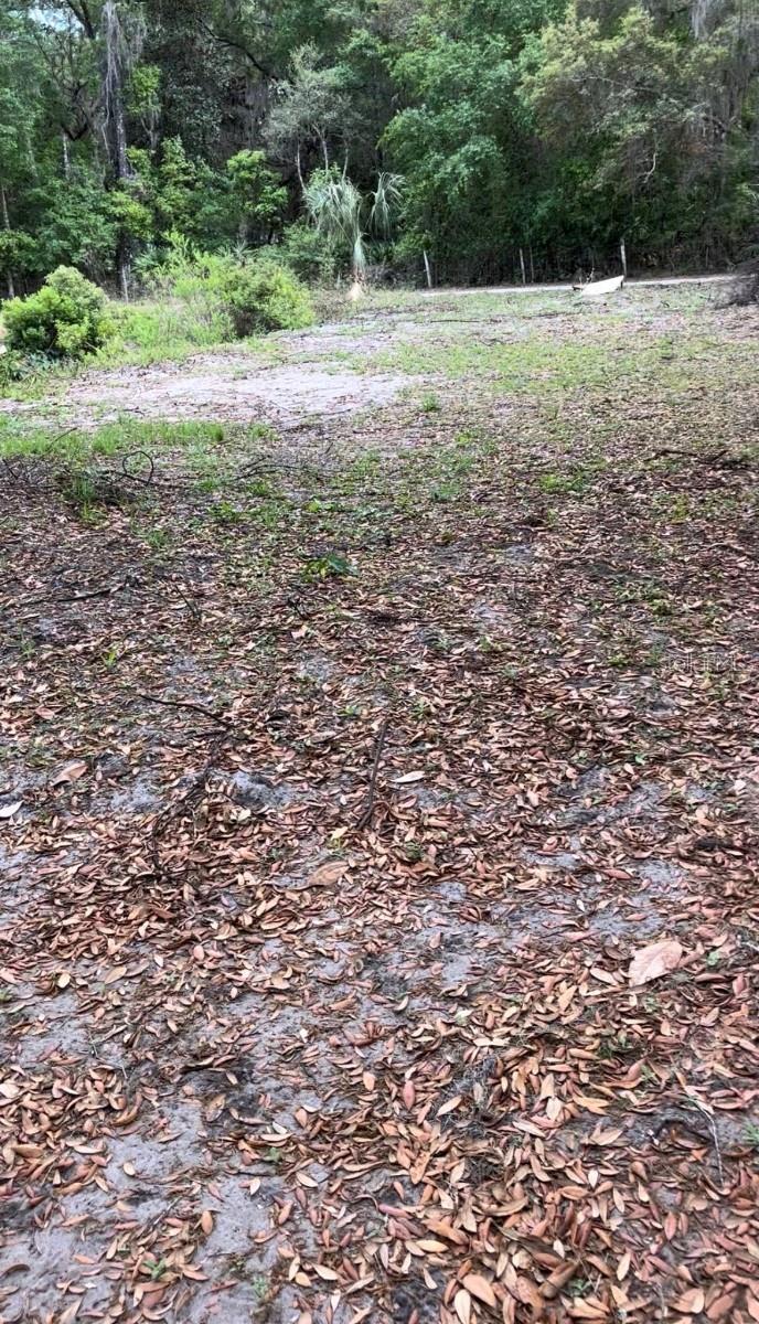 18625 NE 238TH TER, FORT MC COY, FL — photo 11