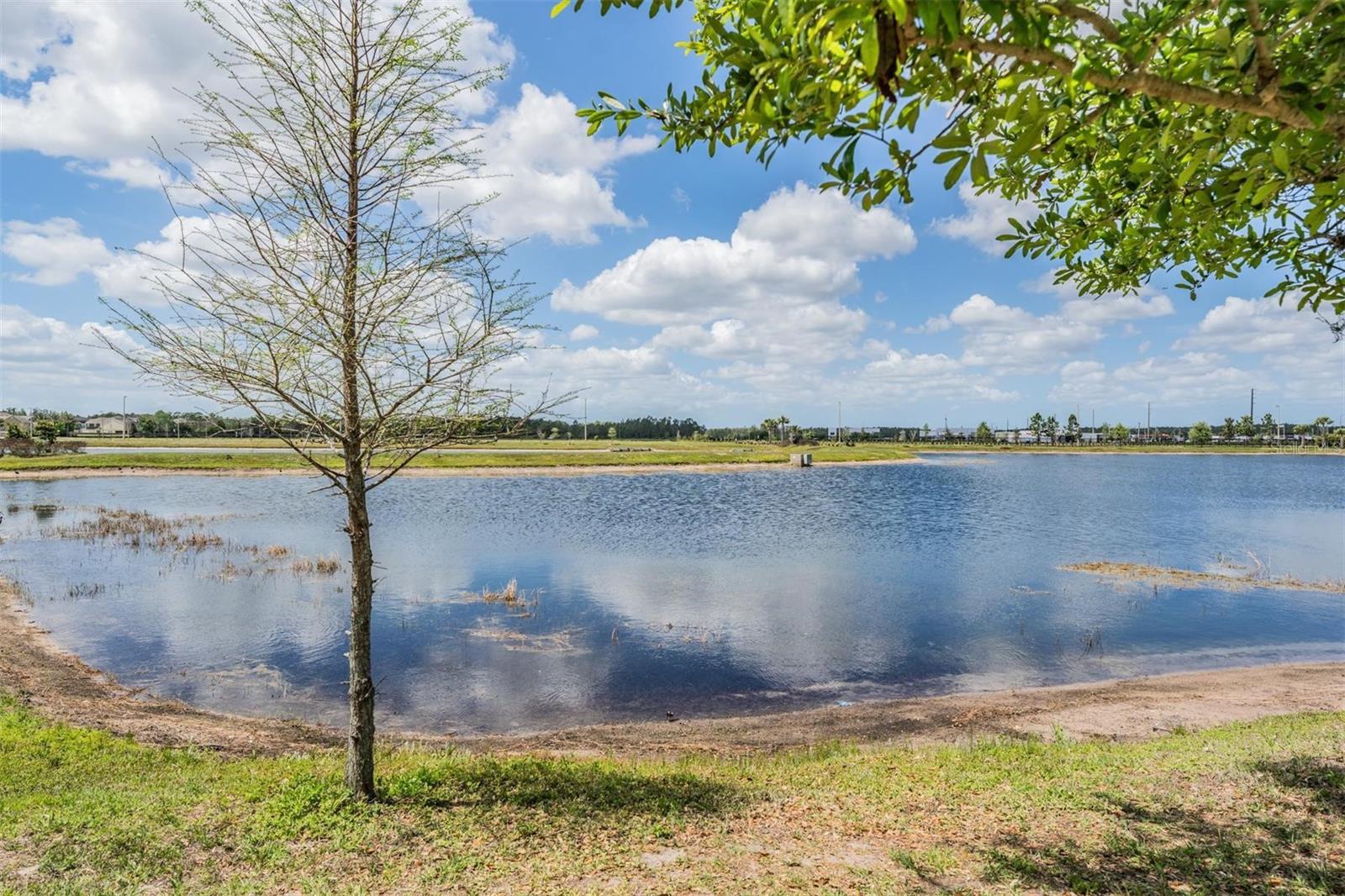 19219 BLUE POND DR, LUTZ, FL — photo 34