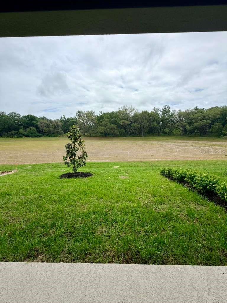 1208 TURTLE ISLAND RD, LADY LAKE, FL — photo 53