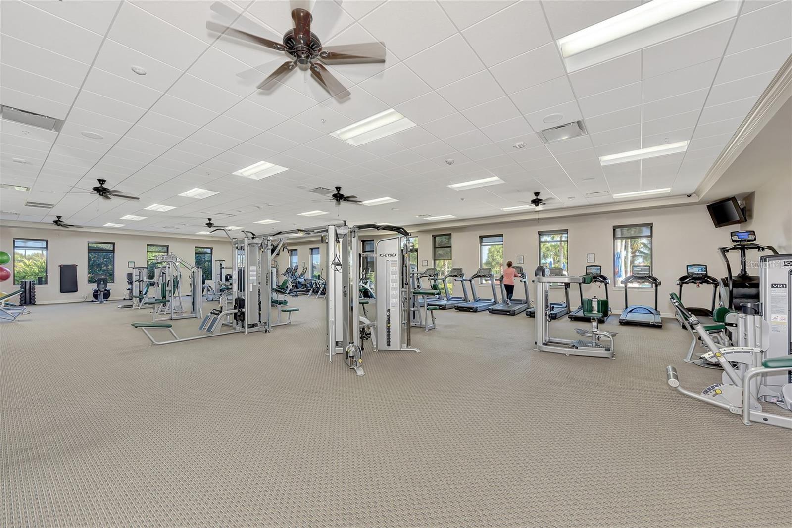 10730 IRONBRIDGE DR, VENICE, FL — photo 70