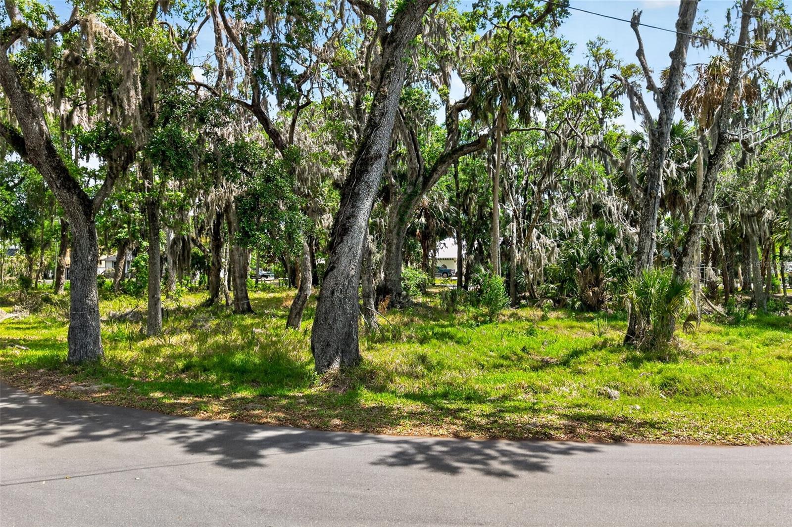 580 NW 14TH PL, CRYSTAL RIVER, FL — photo 6
