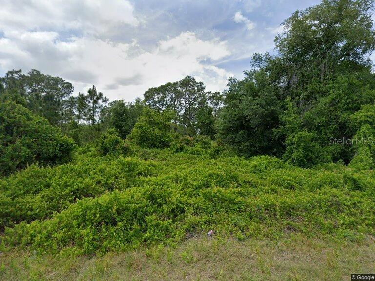 315 JOHNSON AVE NE, LAKE PLACID, FL