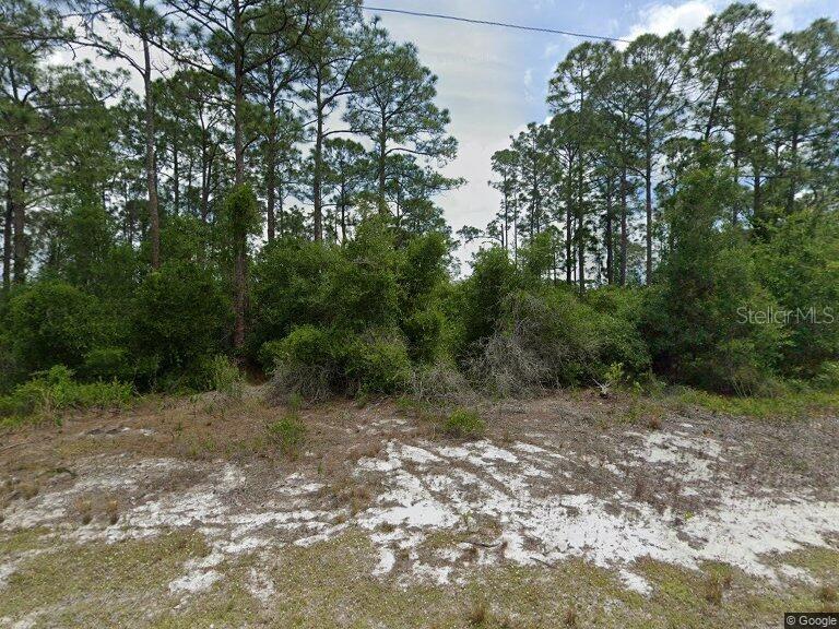 479 JOHNSON AVE NE, LAKE PLACID, FL