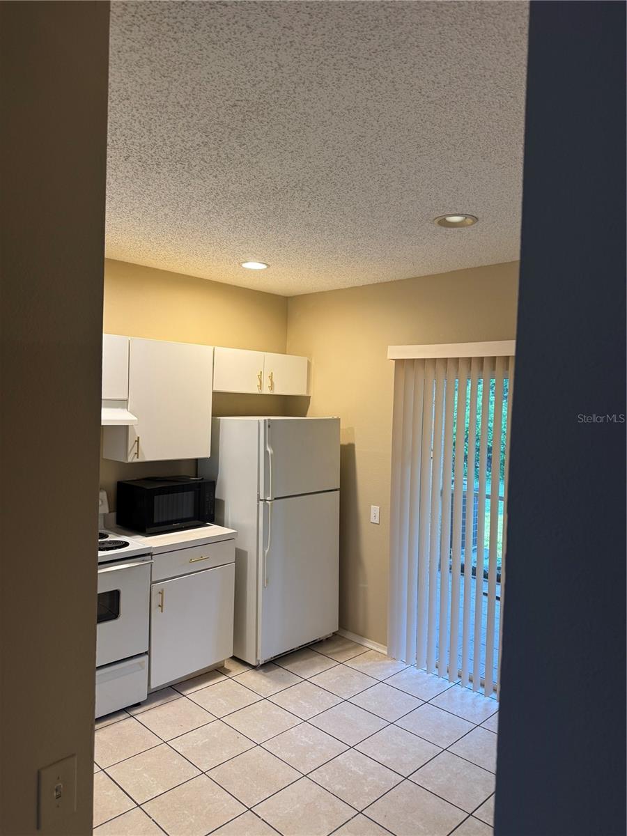 30059 GRANDA HILLS CT, WESLEY CHAPEL, FL — photo 6