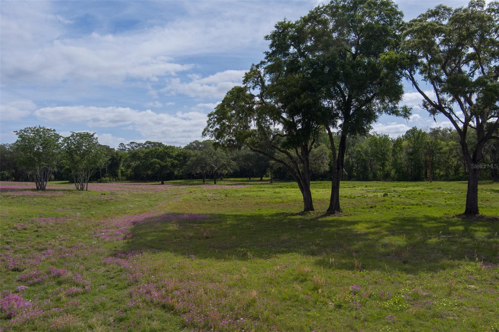 TBD SE 111TH PL, OCALA, FL — photo 9