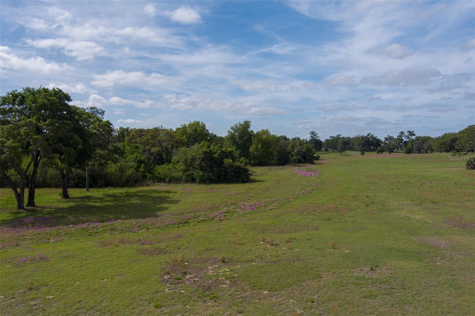 TBD SE 111TH PL, OCALA, FL — photo 10