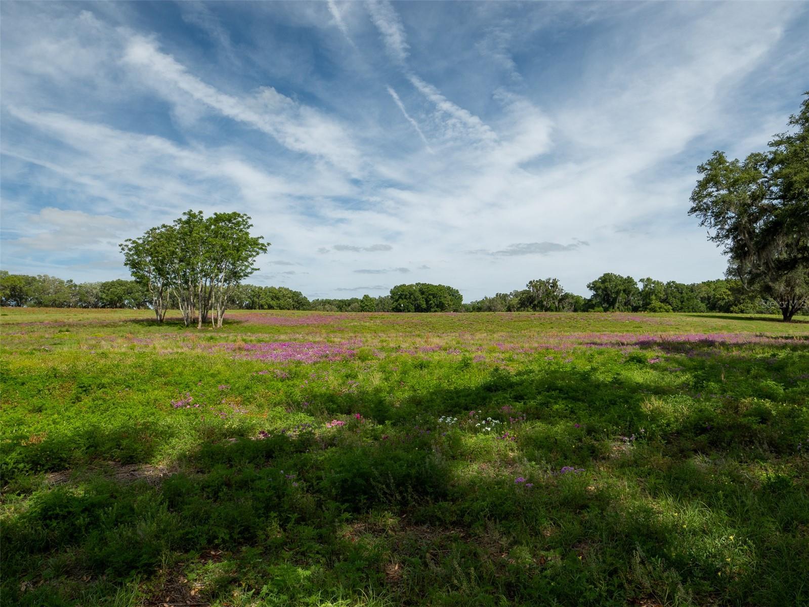 TBD SE 111TH PL, OCALA, FL — photo 12