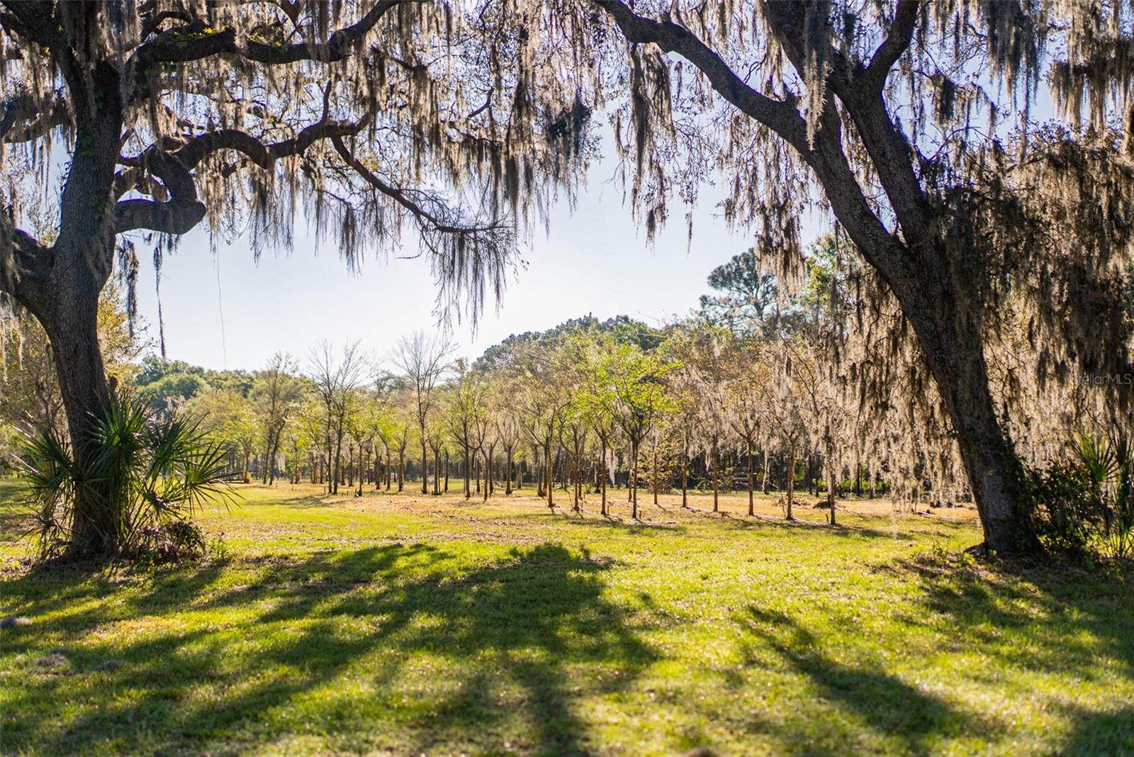 280 CAMPBELL RANCH RUN, GENEVA, FL — photo 67