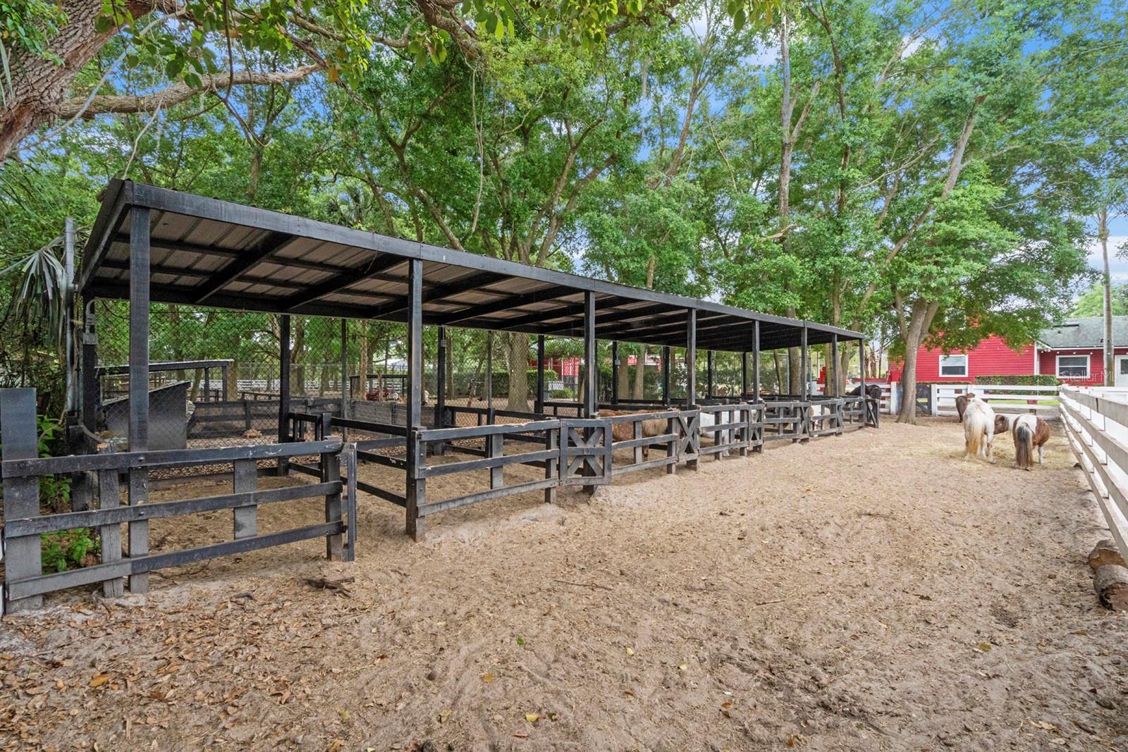 280 CAMPBELL RANCH RUN, GENEVA, FL — photo 32