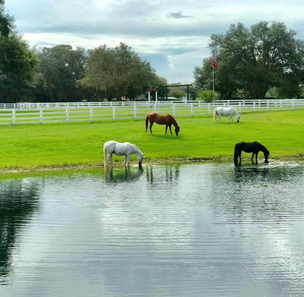 280 CAMPBELL RANCH RUN, GENEVA, FL — photo 69