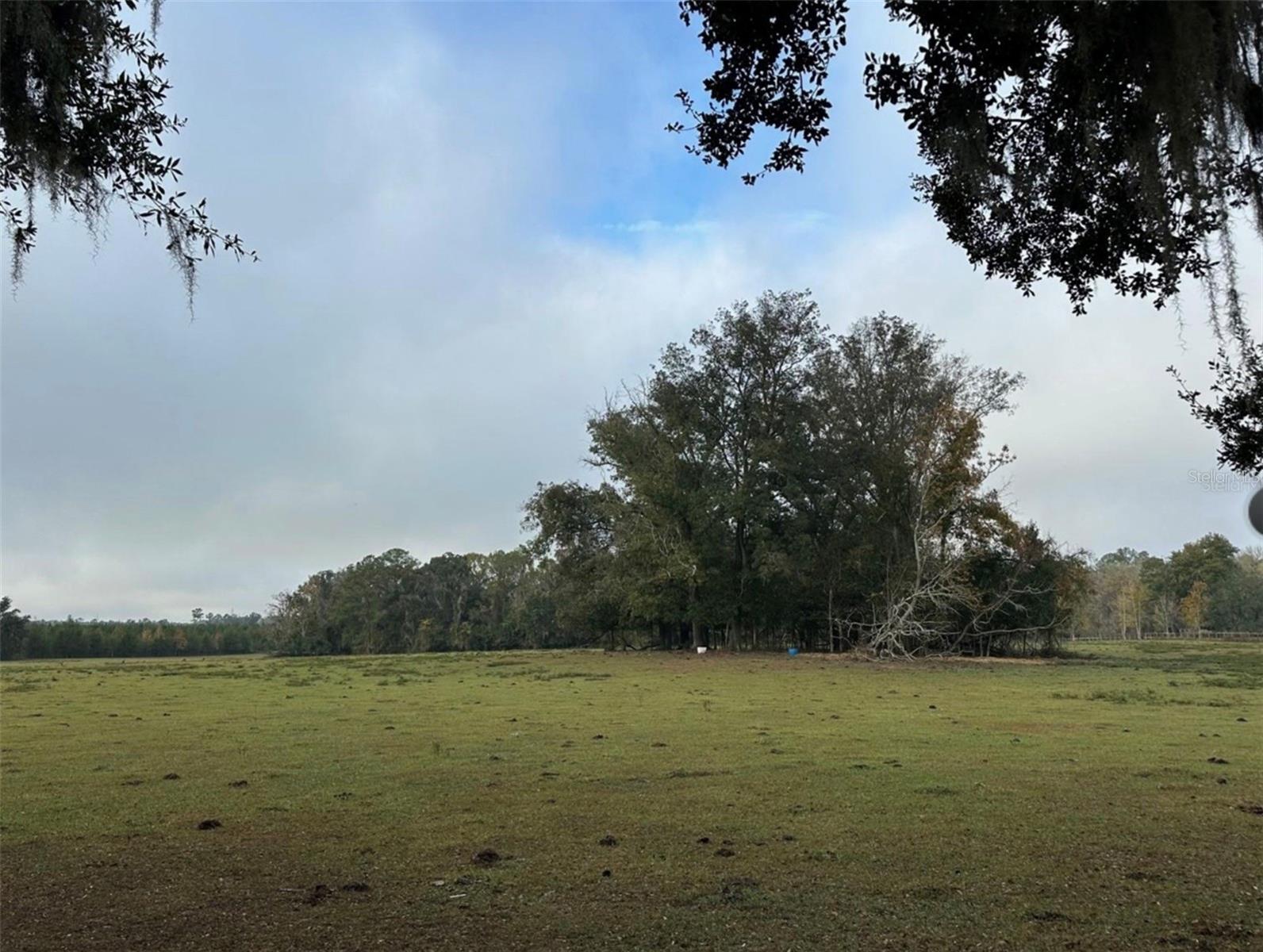 NW 160TH ST, REDDICK, FL — photo 2