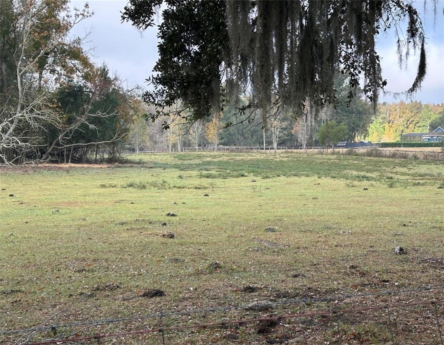 NW 160TH ST, REDDICK, FL — photo 3