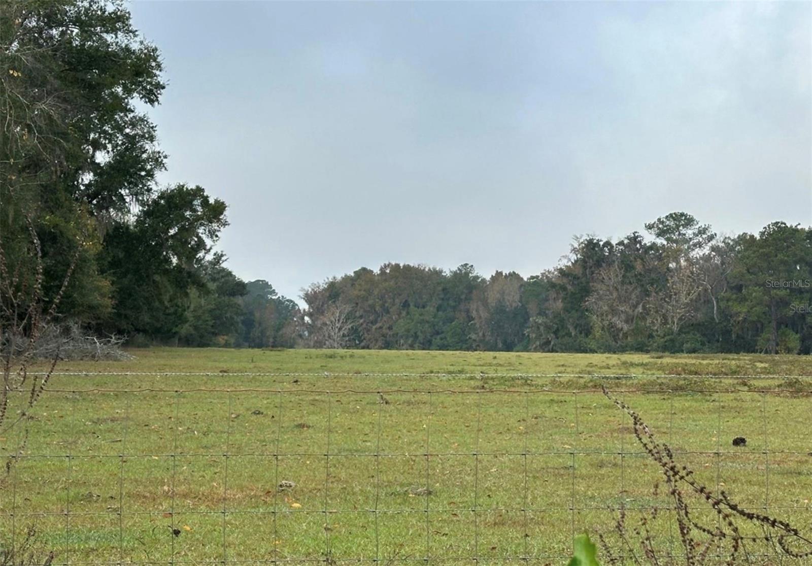 NW 160TH ST, REDDICK, FL — photo 4