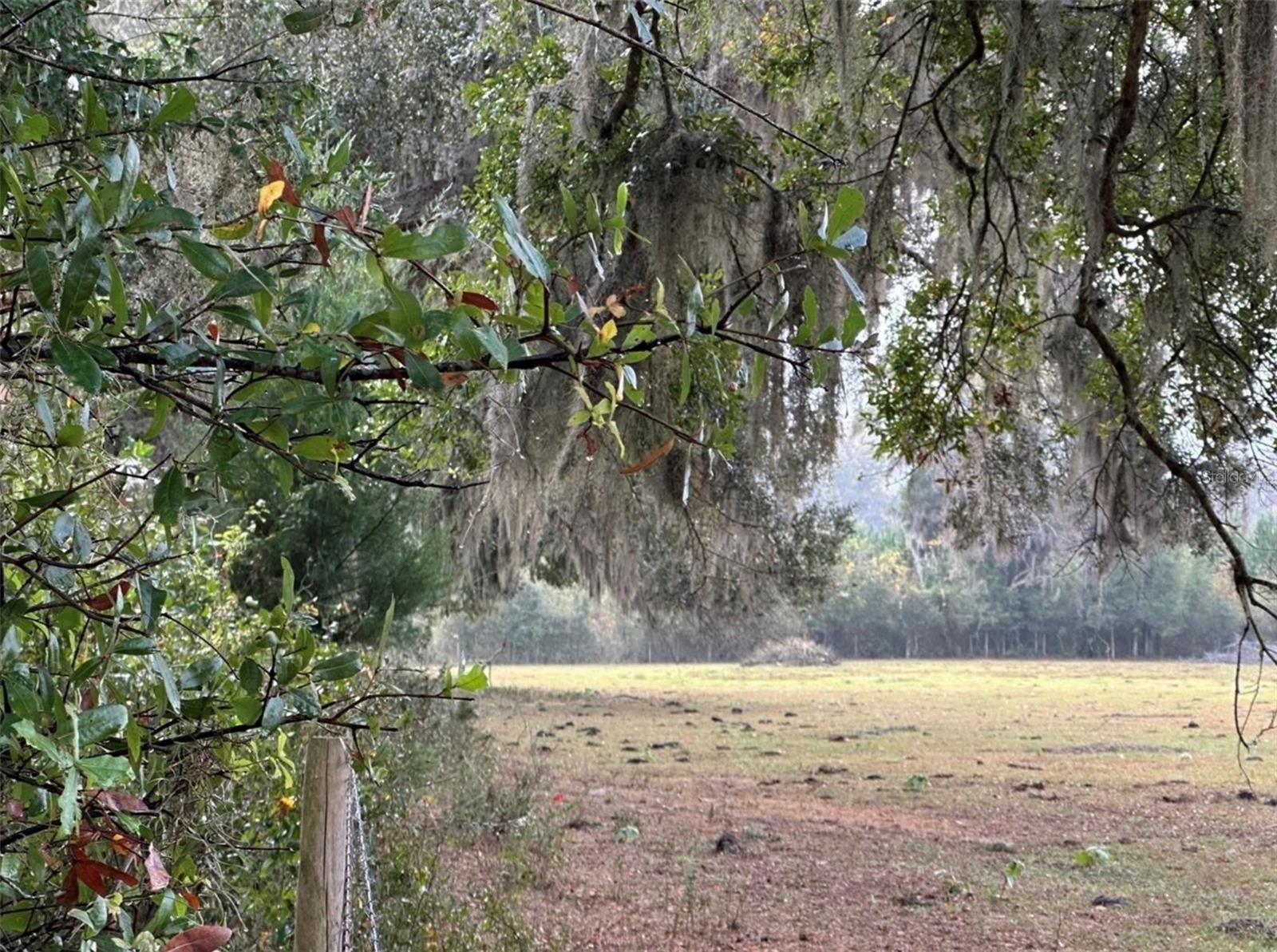 NW 160TH ST, REDDICK, FL — photo 6