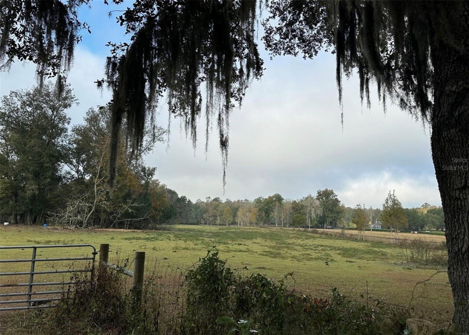 NW 160TH ST, REDDICK, FL — photo 7