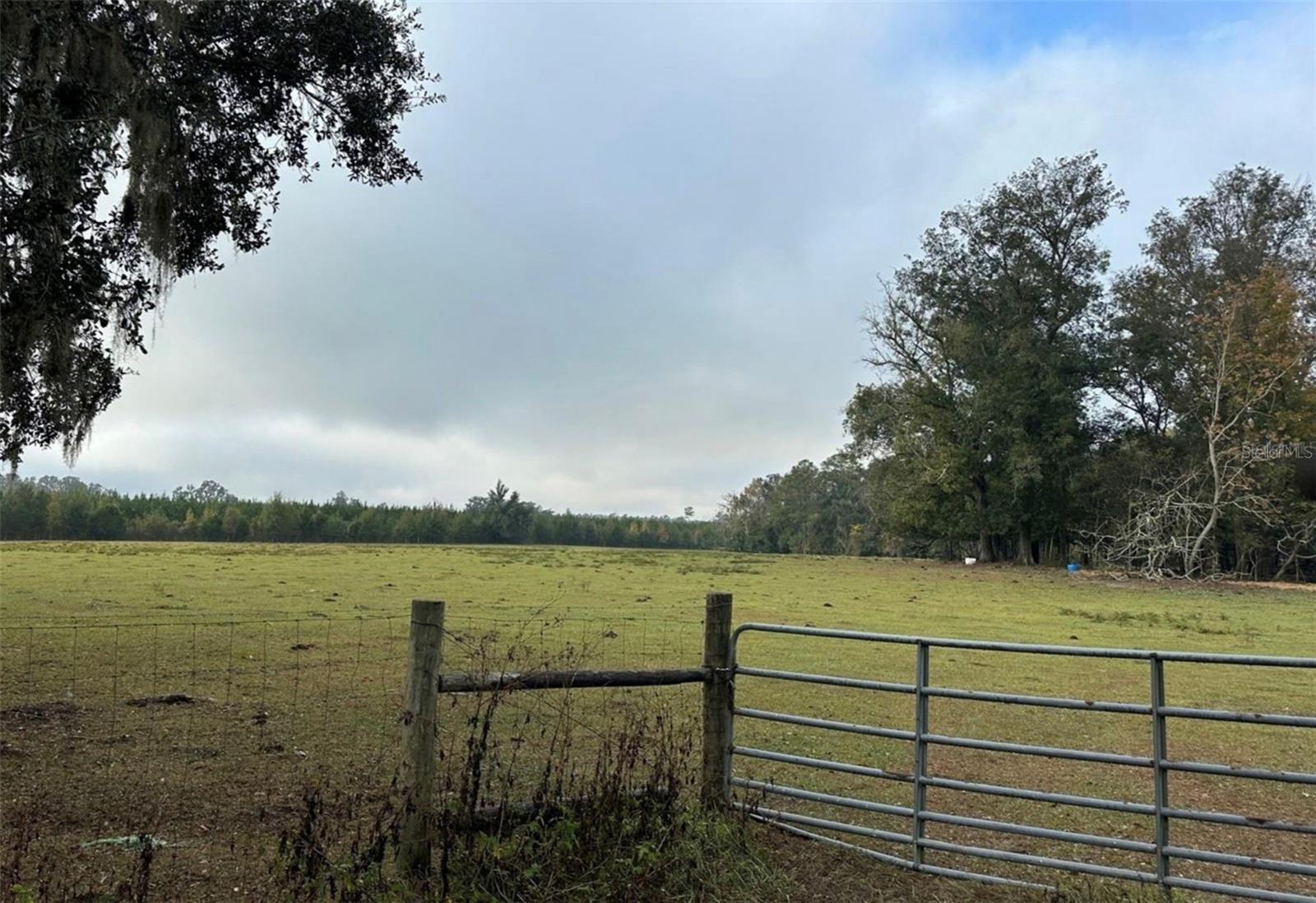 NW 160TH ST, REDDICK, FL — photo 8