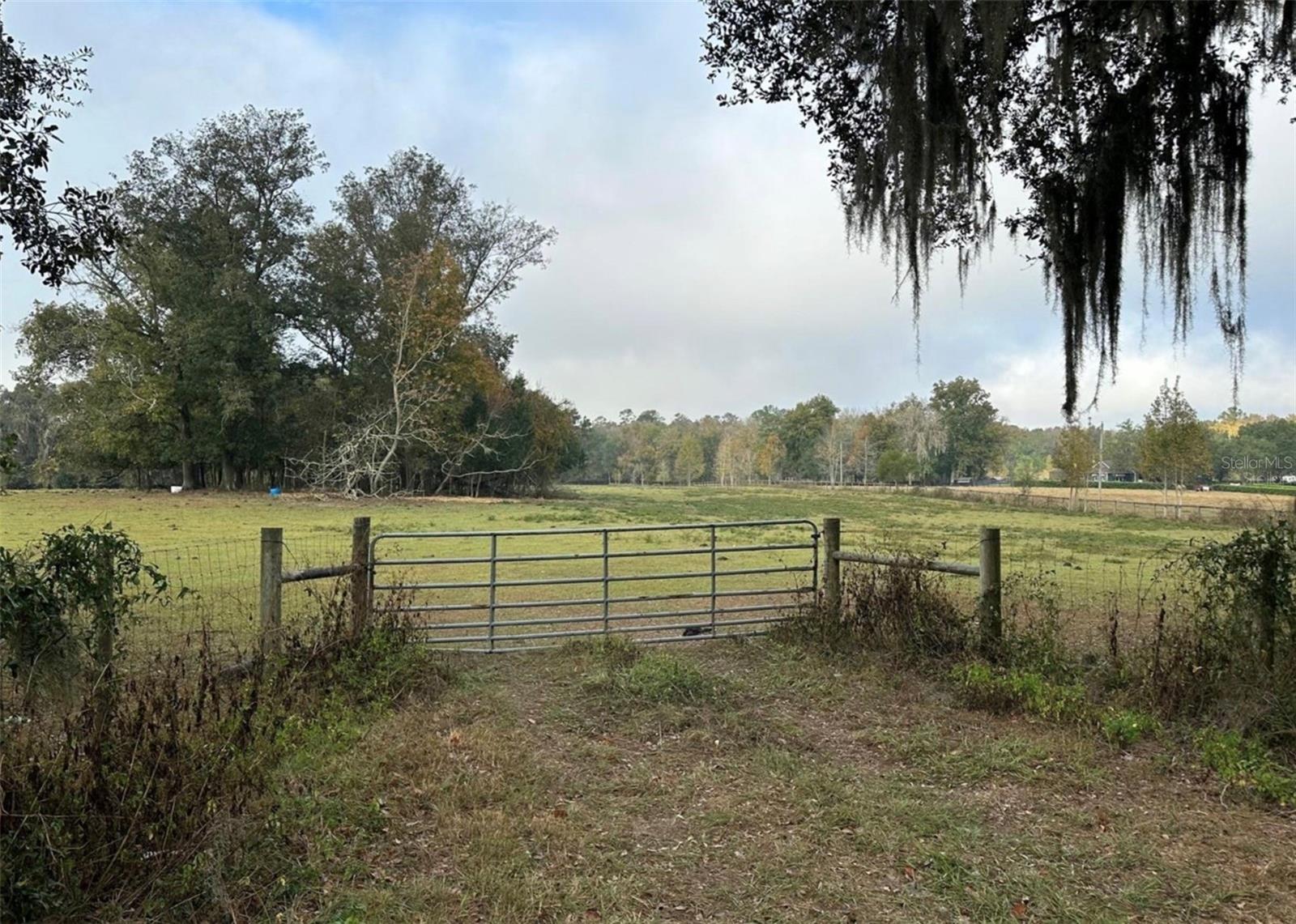 NW 160TH ST, REDDICK, FL — photo 9