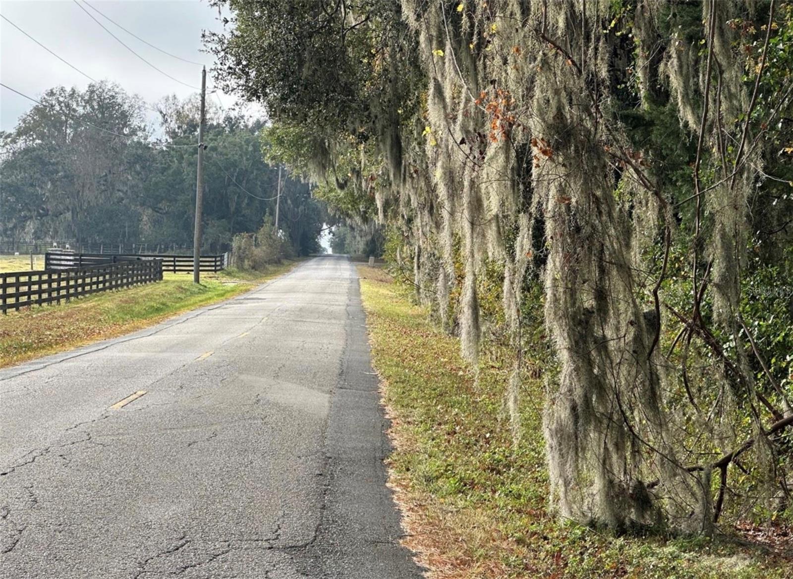 NW 160TH ST, REDDICK, FL — photo 10