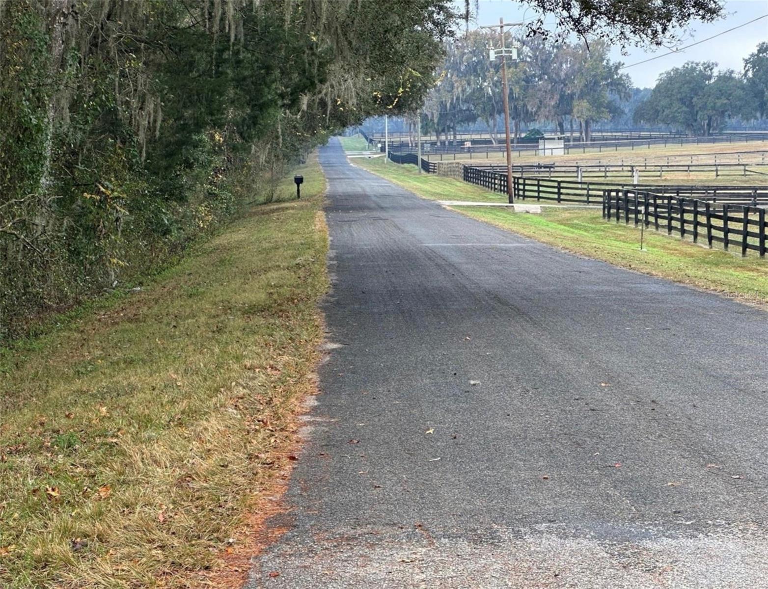NW 160TH ST, REDDICK, FL — photo 11