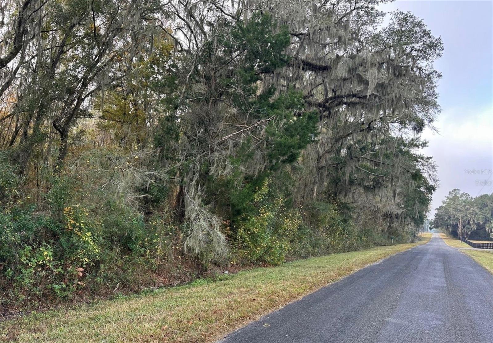 NW 160TH ST, REDDICK, FL — photo 12