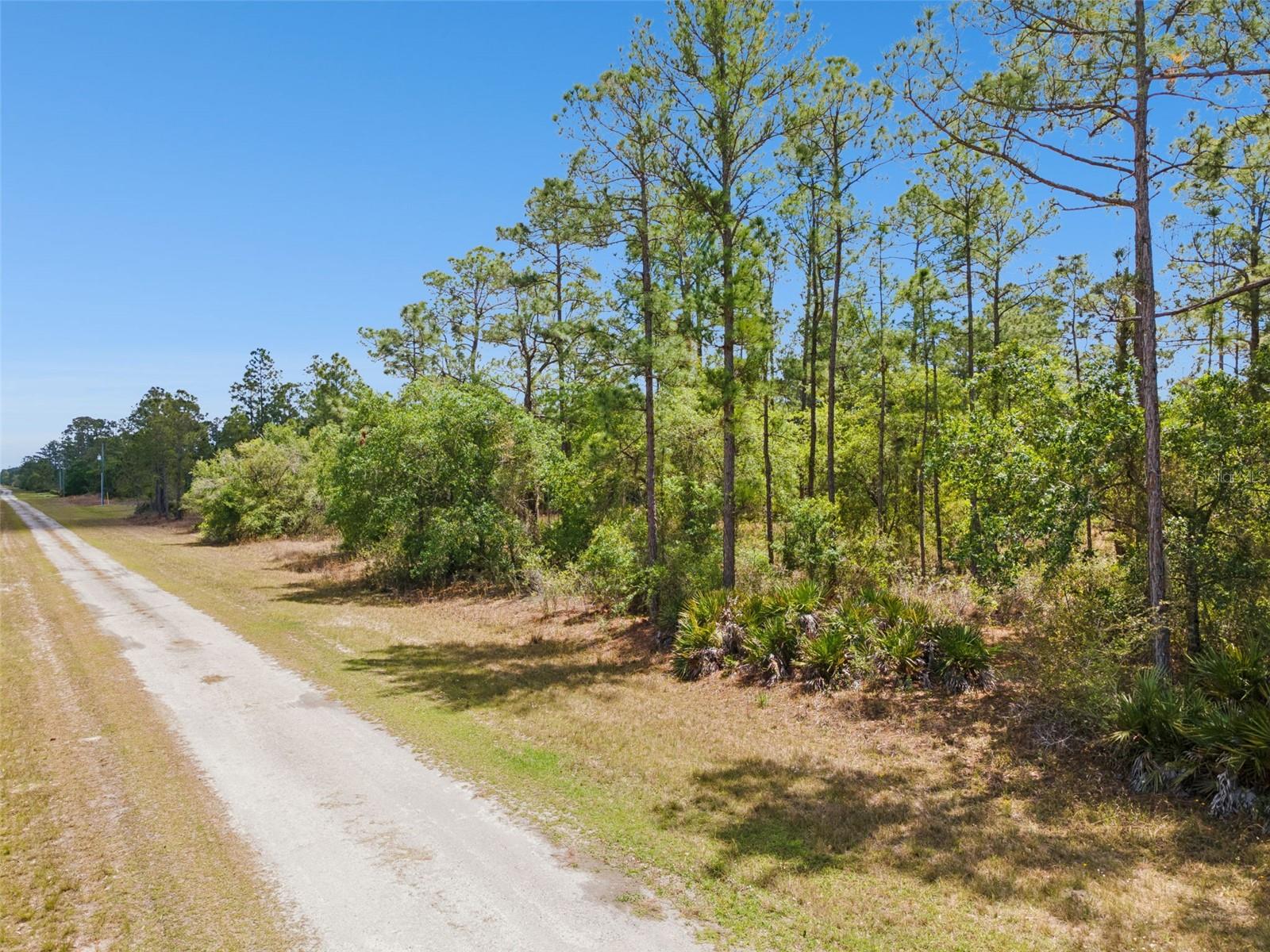 3871 GALLARDIA DR, INDIAN LAKE ESTATES, FL — photo 7