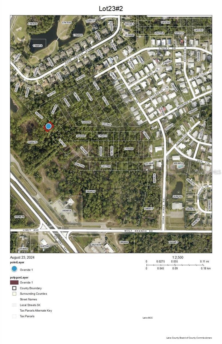 Lot 23 PARK FOREST BLVD, MOUNT DORA, FL — photo 3