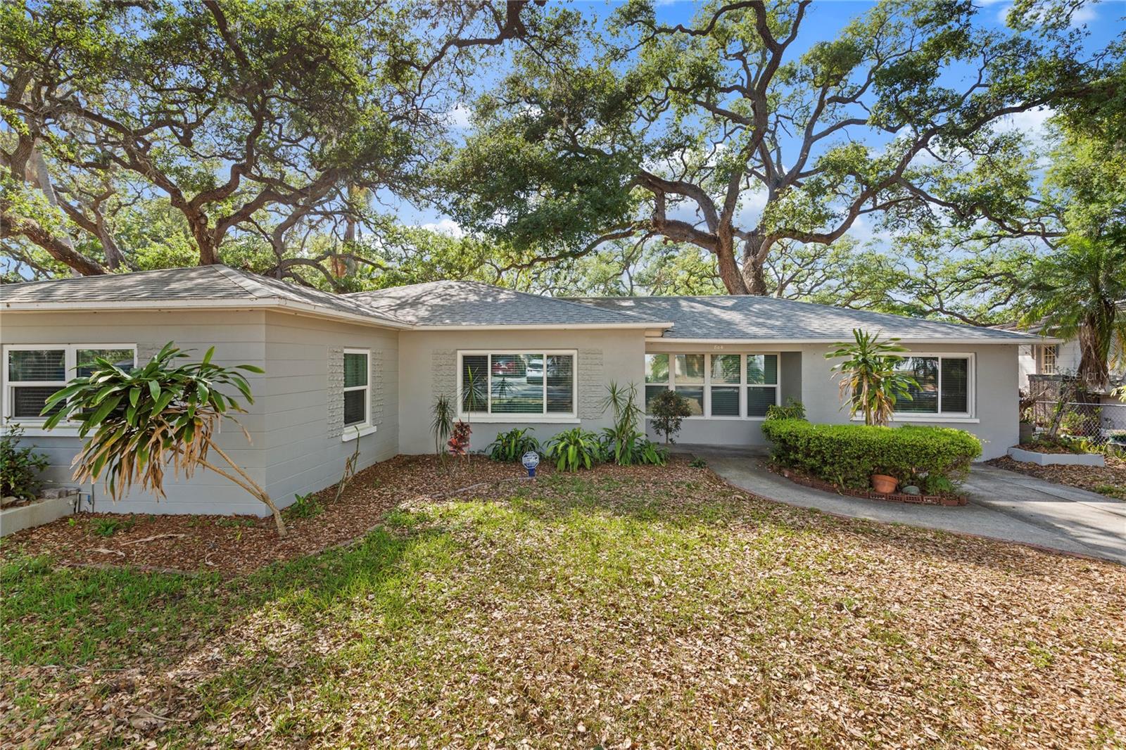 804 S EVERGREEN AVE, CLEARWATER, FL — photo 3