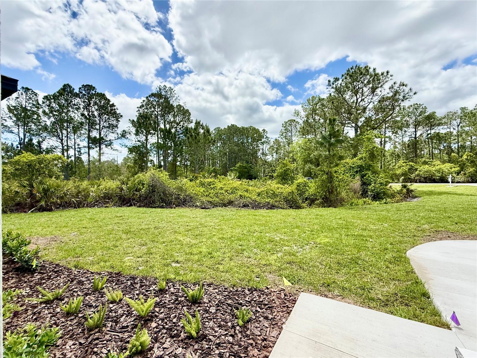 30165 W BLUEBELL AVE, EUSTIS, FL — photo 69