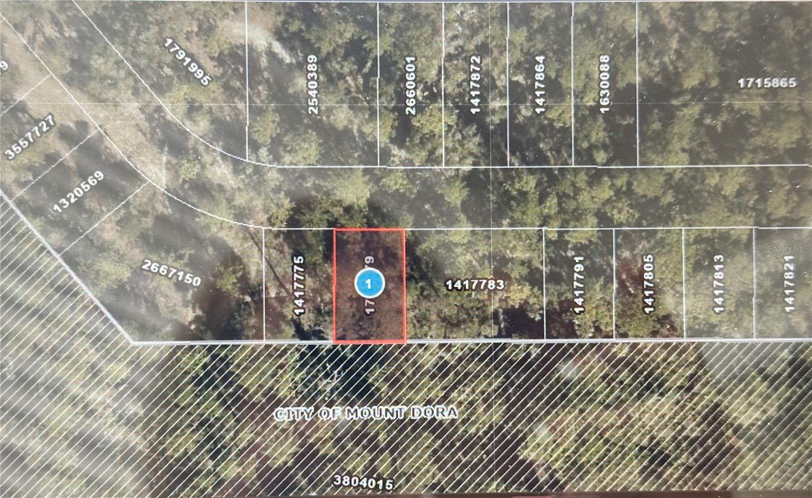 Lot 34 WOLF BRANCH RD, MOUNT DORA, FL — photo 3
