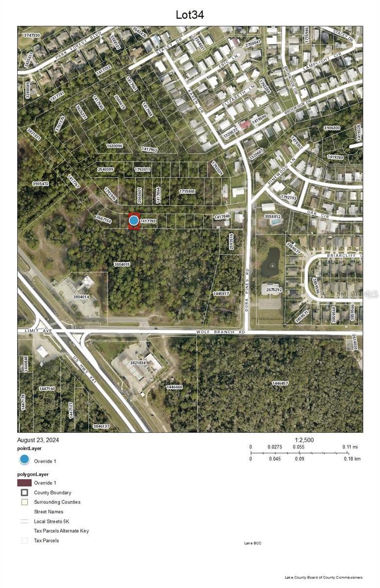 Lot 34 WOLF BRANCH RD, MOUNT DORA, FL — photo 5