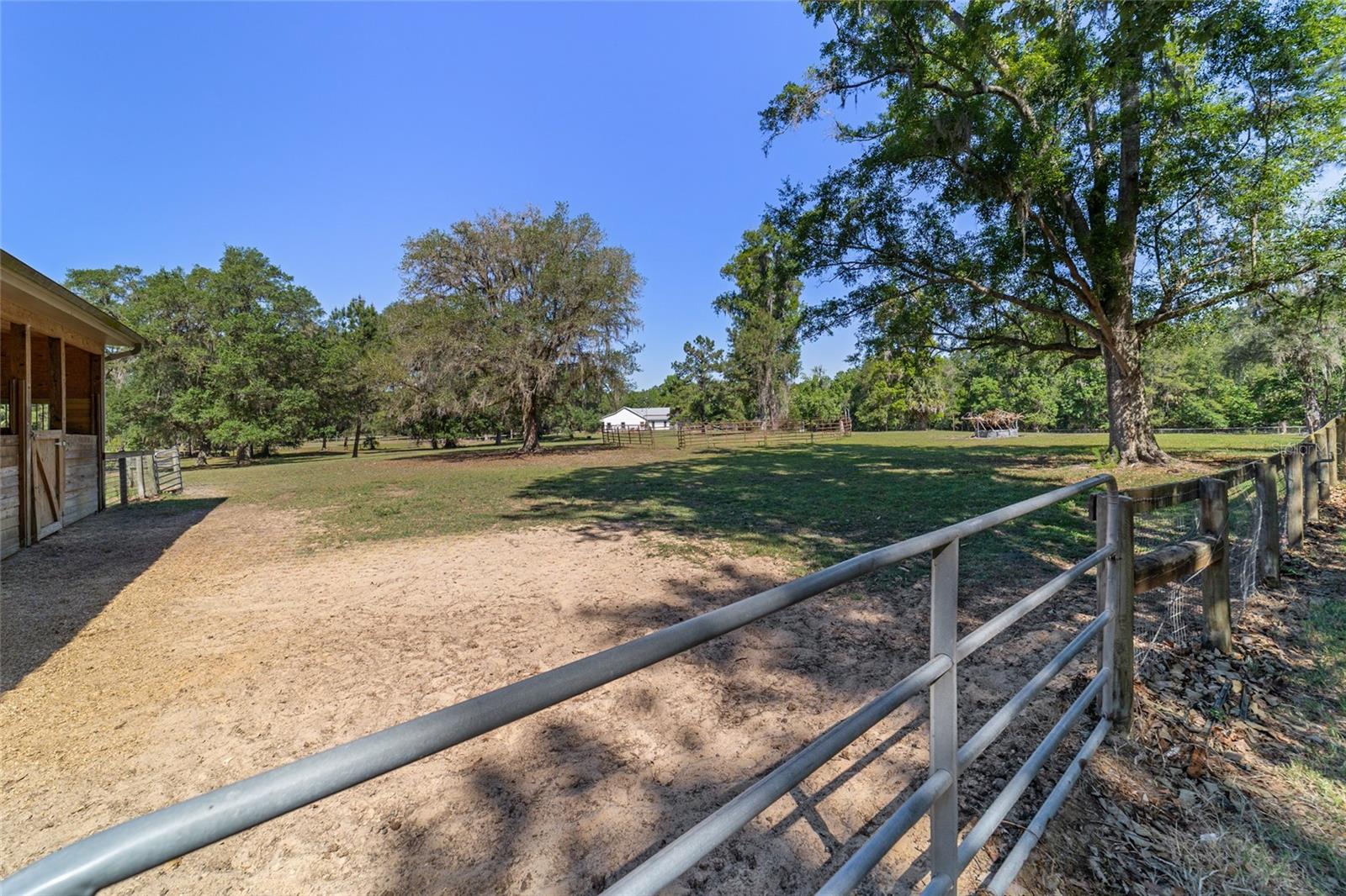 20005 NW 135TH AVE, MICANOPY, FL — photo 80