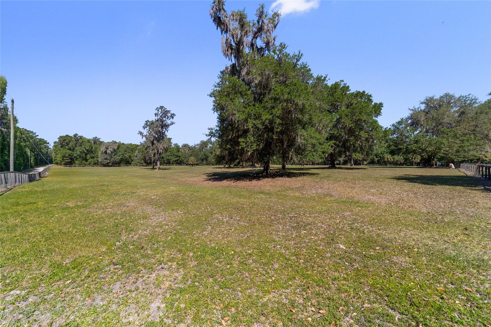 20005 NW 135TH AVE, MICANOPY, FL — photo 84