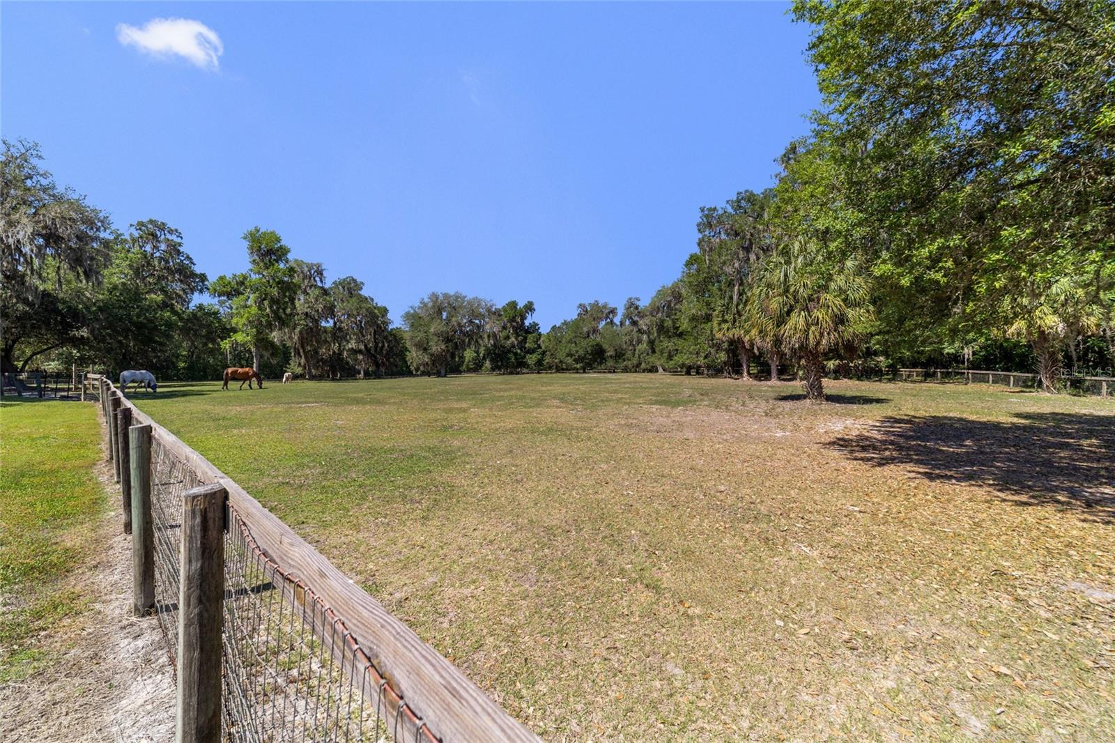 20005 NW 135TH AVE, MICANOPY, FL — photo 86