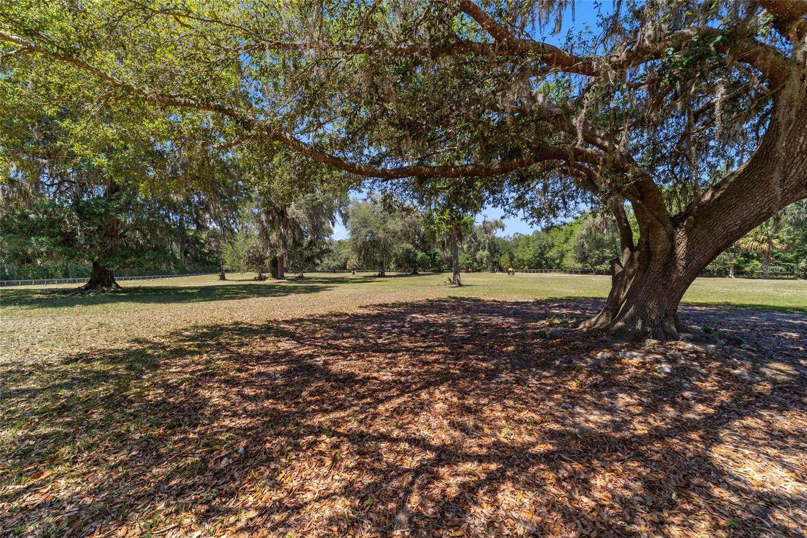 20005 NW 135TH AVE, MICANOPY, FL — photo 87