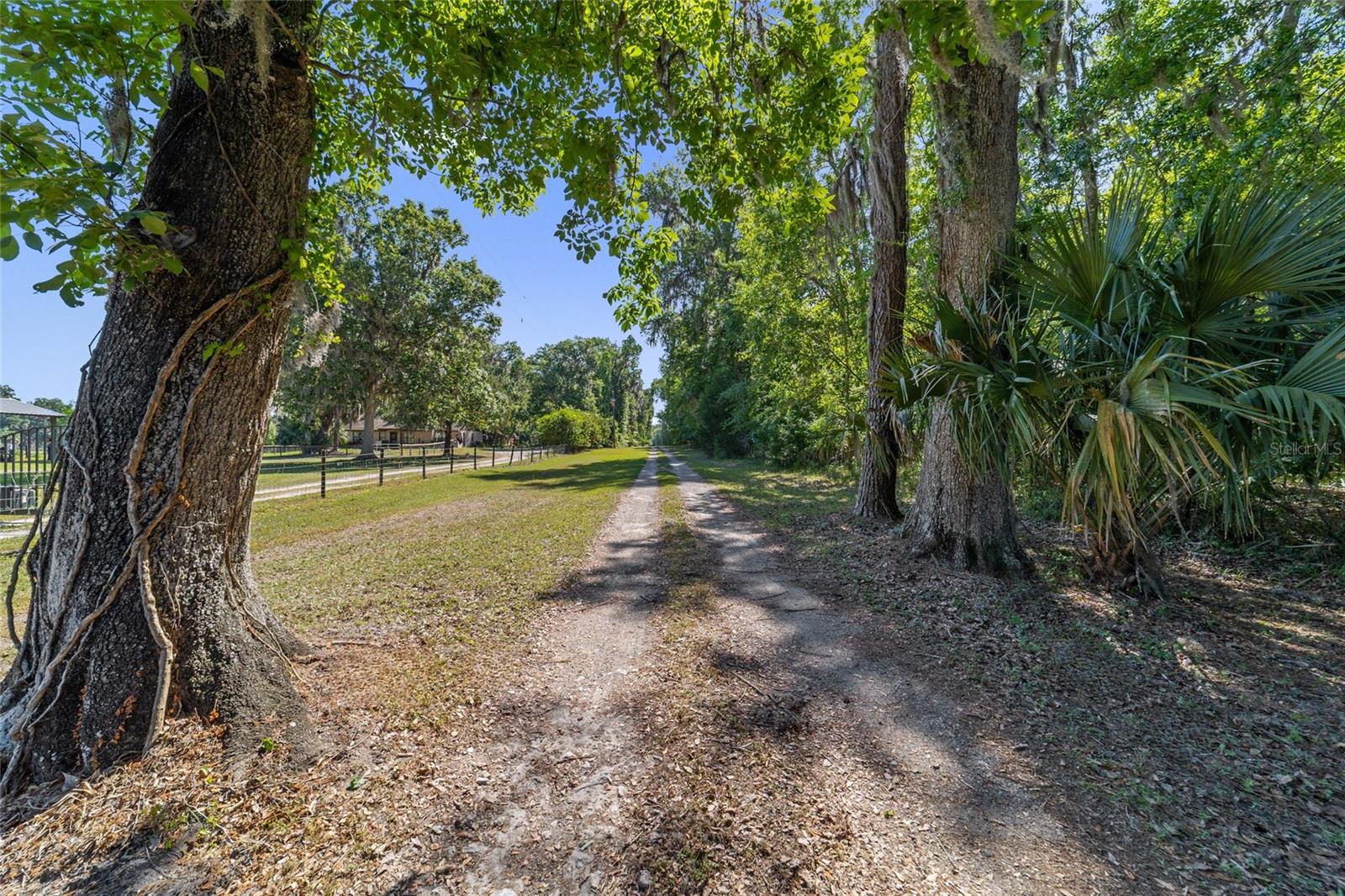 20005 NW 135TH AVE, MICANOPY, FL — photo 90