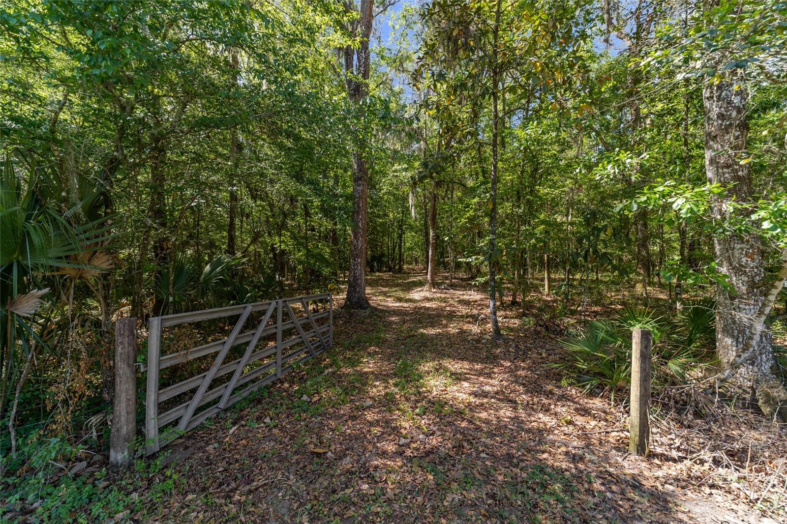 20005 NW 135TH AVE, MICANOPY, FL — photo 94