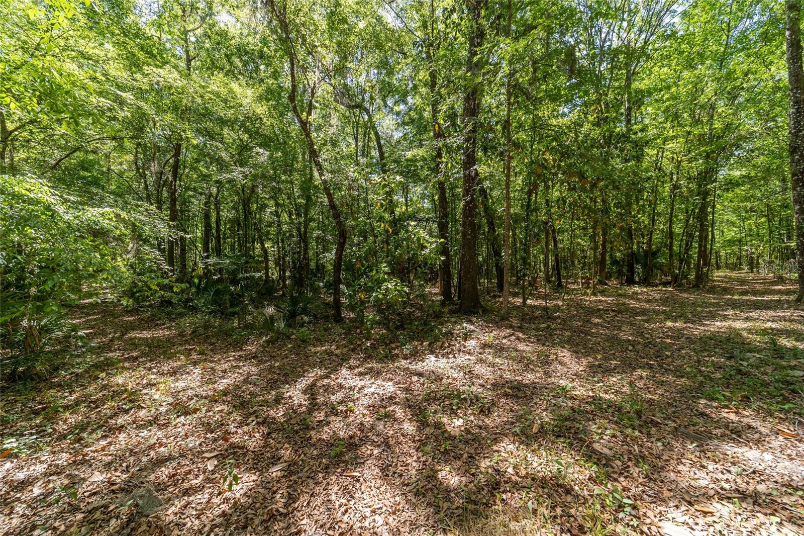 20005 NW 135TH AVE, MICANOPY, FL — photo 95