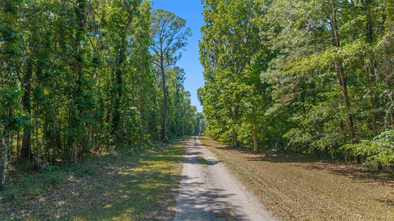 20005 NW 135TH AVE, MICANOPY, FL — photo 96