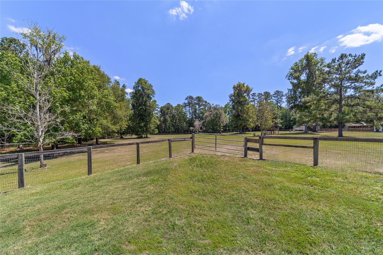 20005 NW 135TH AVE, MICANOPY, FL — photo 97
