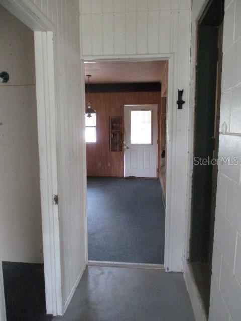 1335 ELRAY BLVD, MOUNT DORA, FL — photo 26