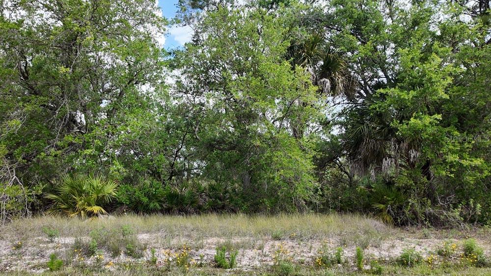 3104 51ST ST W, LEHIGH ACRES, FL — photo 12
