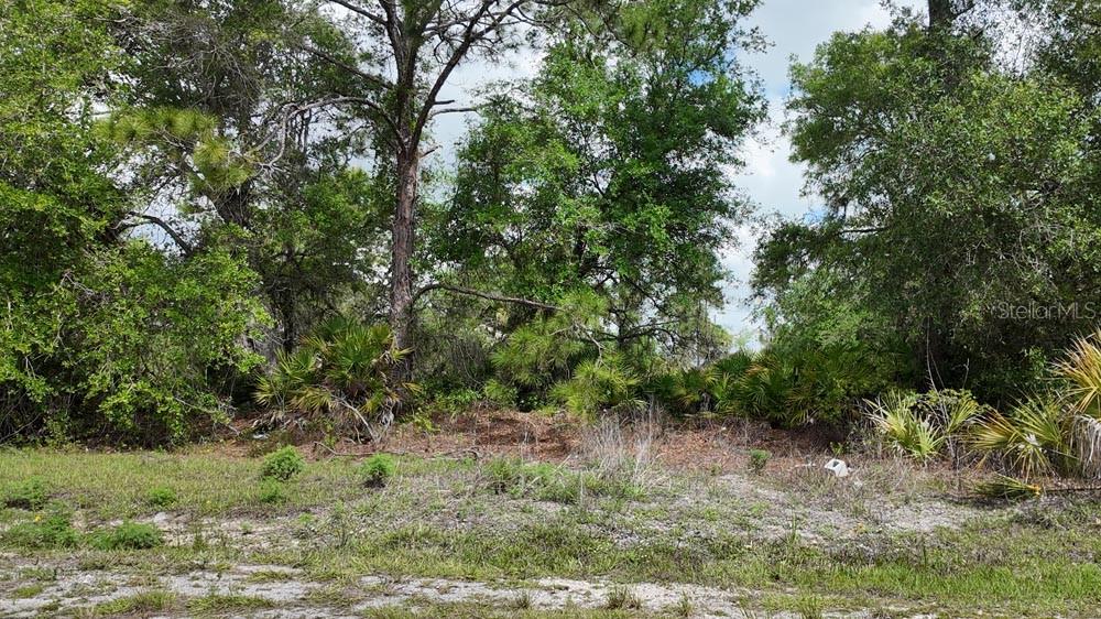 3104 51ST ST W, LEHIGH ACRES, FL — photo 13