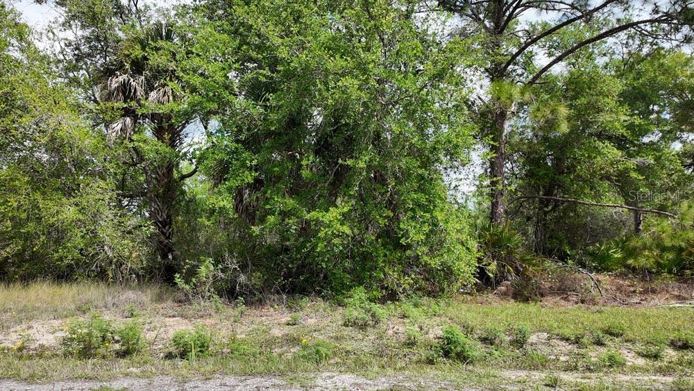 3104 51ST ST W, LEHIGH ACRES, FL — photo 14