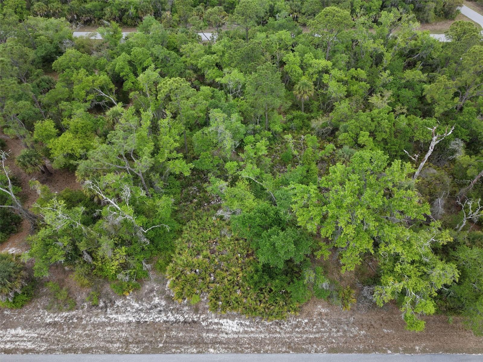 1249 CHRIS TER, PORT CHARLOTTE, FL — photo 3