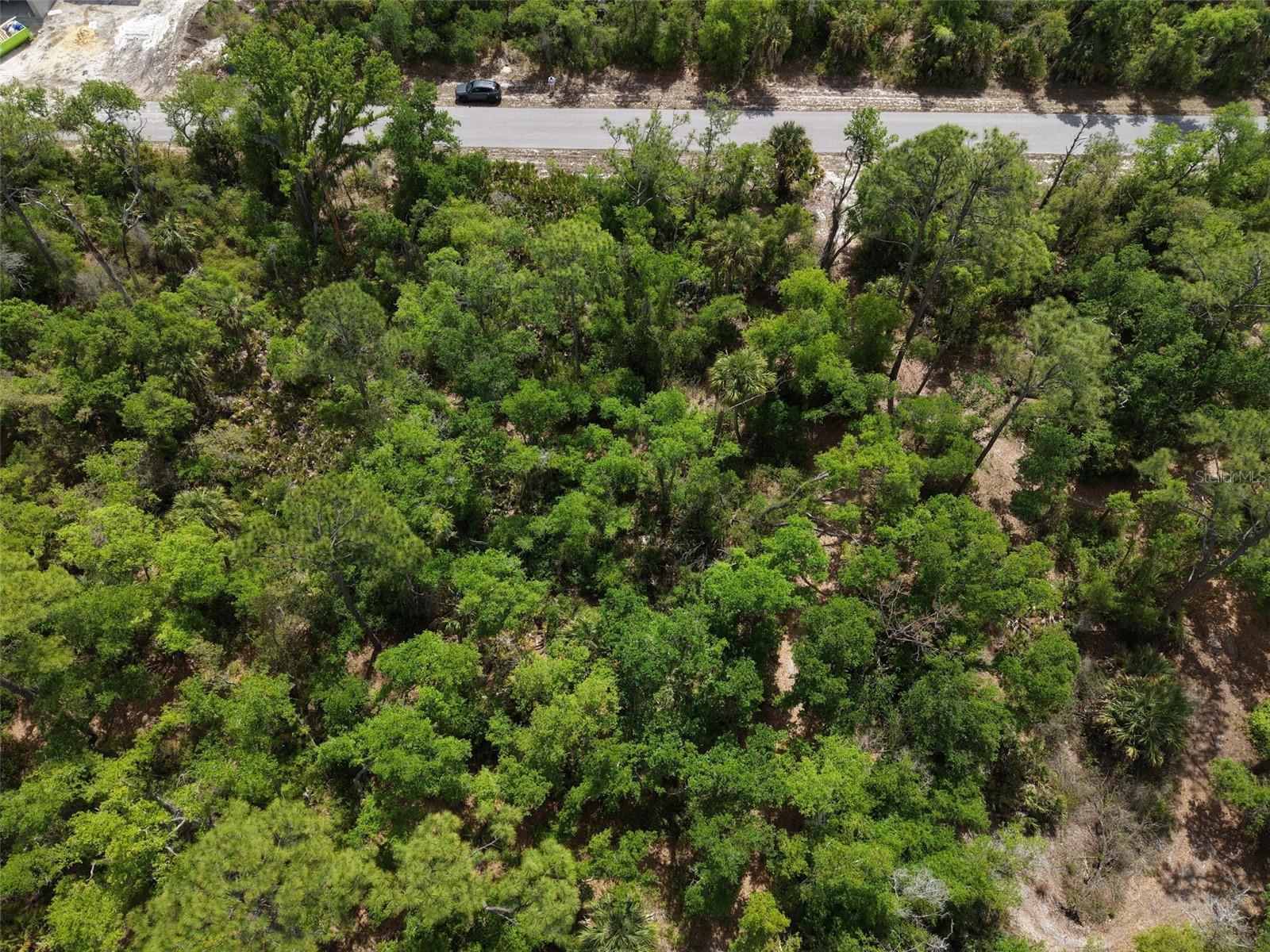 1249 CHRIS TER, PORT CHARLOTTE, FL — photo 4