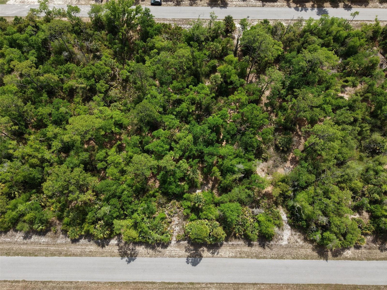 1249 CHRIS TER, PORT CHARLOTTE, FL — photo 5