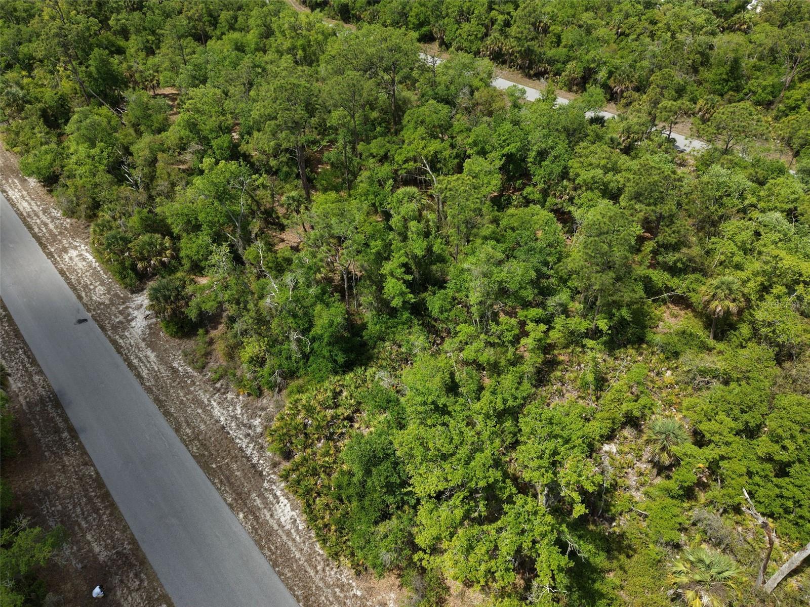1249 CHRIS TER, PORT CHARLOTTE, FL — photo 12