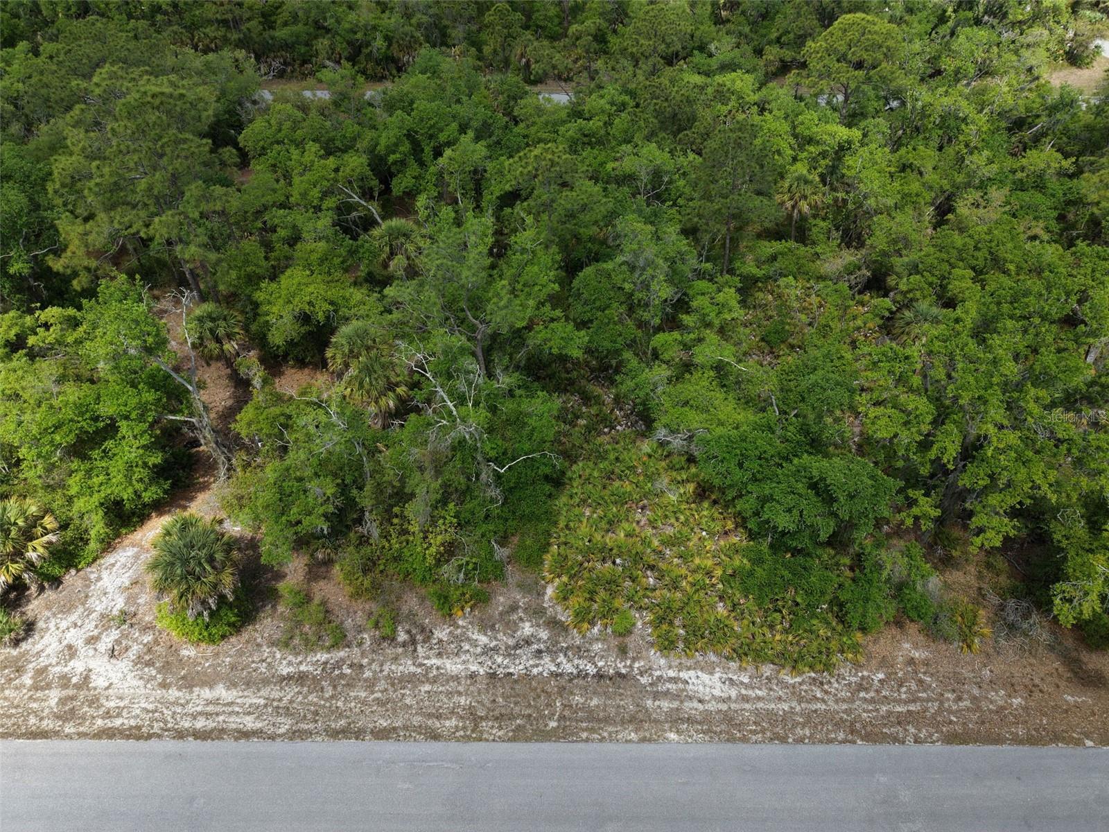 1249 CHRIS TER, PORT CHARLOTTE, FL — photo 13