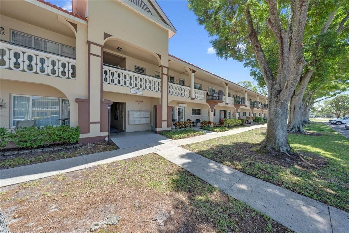 2401 FRANCISCAN DR #39, CLEARWATER, FL — photo 15